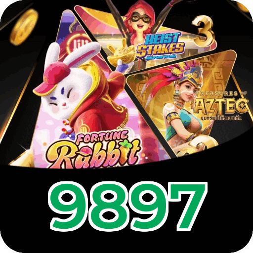 Verificação KYC 9897